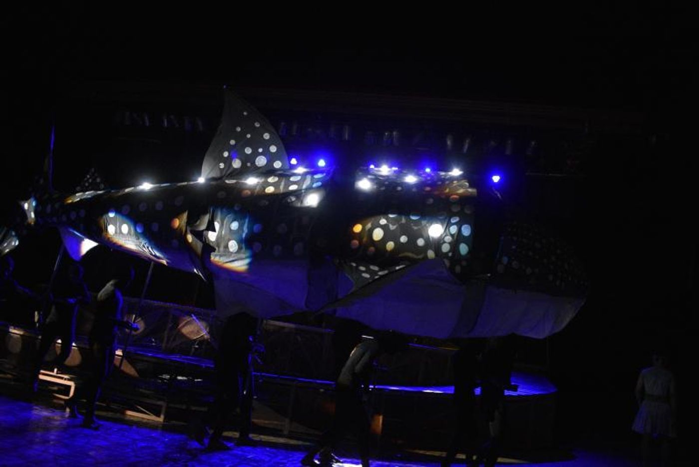 Photos: Take A First Look at the World Premiere of NIA AND ANWAR AND THE WHALE SHARK TALE  Image