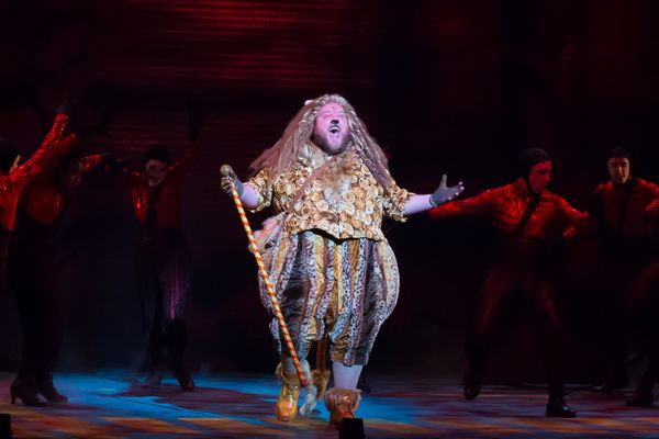 Daniel Williston as Lion in THE WIZARD OF OZ. Photo by Racheal McCaig Photo