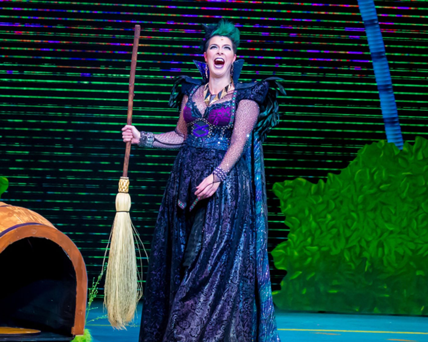 Photo Flash: Get A First Look At Ross Petty's THE WIZARD OF OZ - A Toto-ly Twistered Family Musical  Image