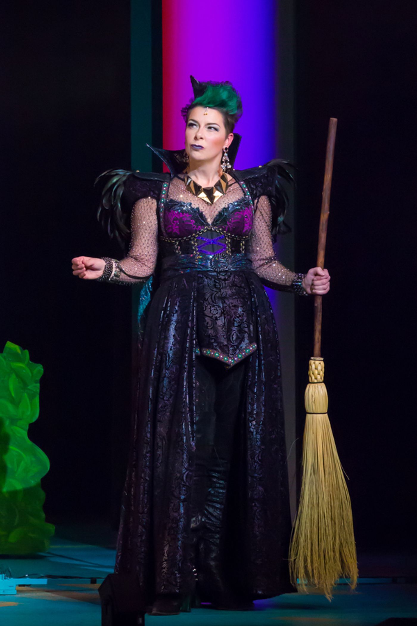 Photo Flash: Get A First Look At Ross Petty's THE WIZARD OF OZ - A Toto-ly Twistered Family Musical  Image