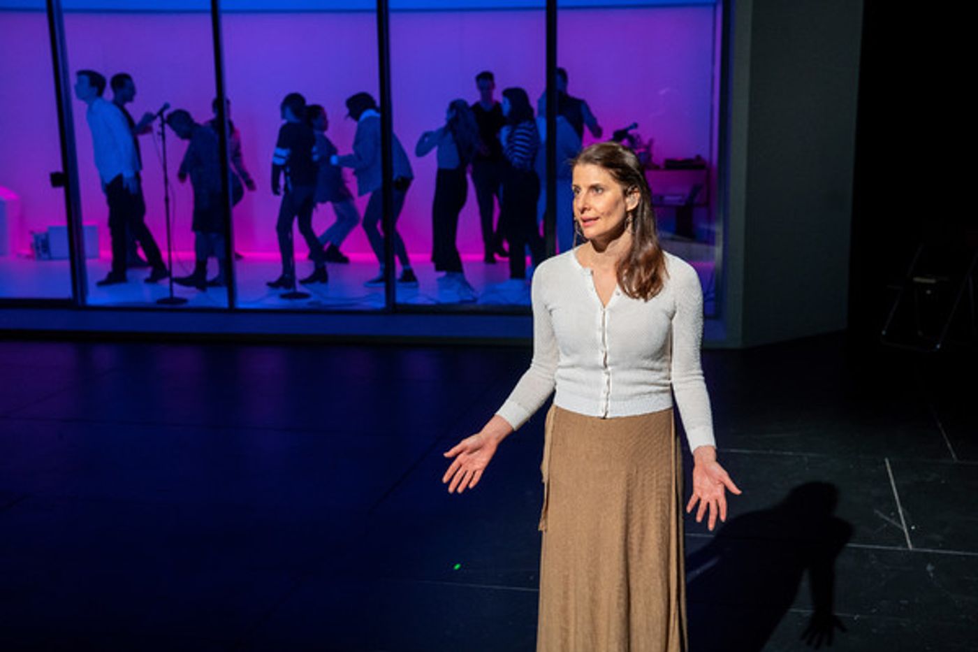 Review: THE WHITE ALBUM, Joan Didion's Essays Onstage at BAM, Ponders the Predicaments of Generations Past and Present Review: THE WHITE ALBUM, Joan Didion's Essays Onstage at BAM, Ponders the Predicaments of Generations Past and Present Image