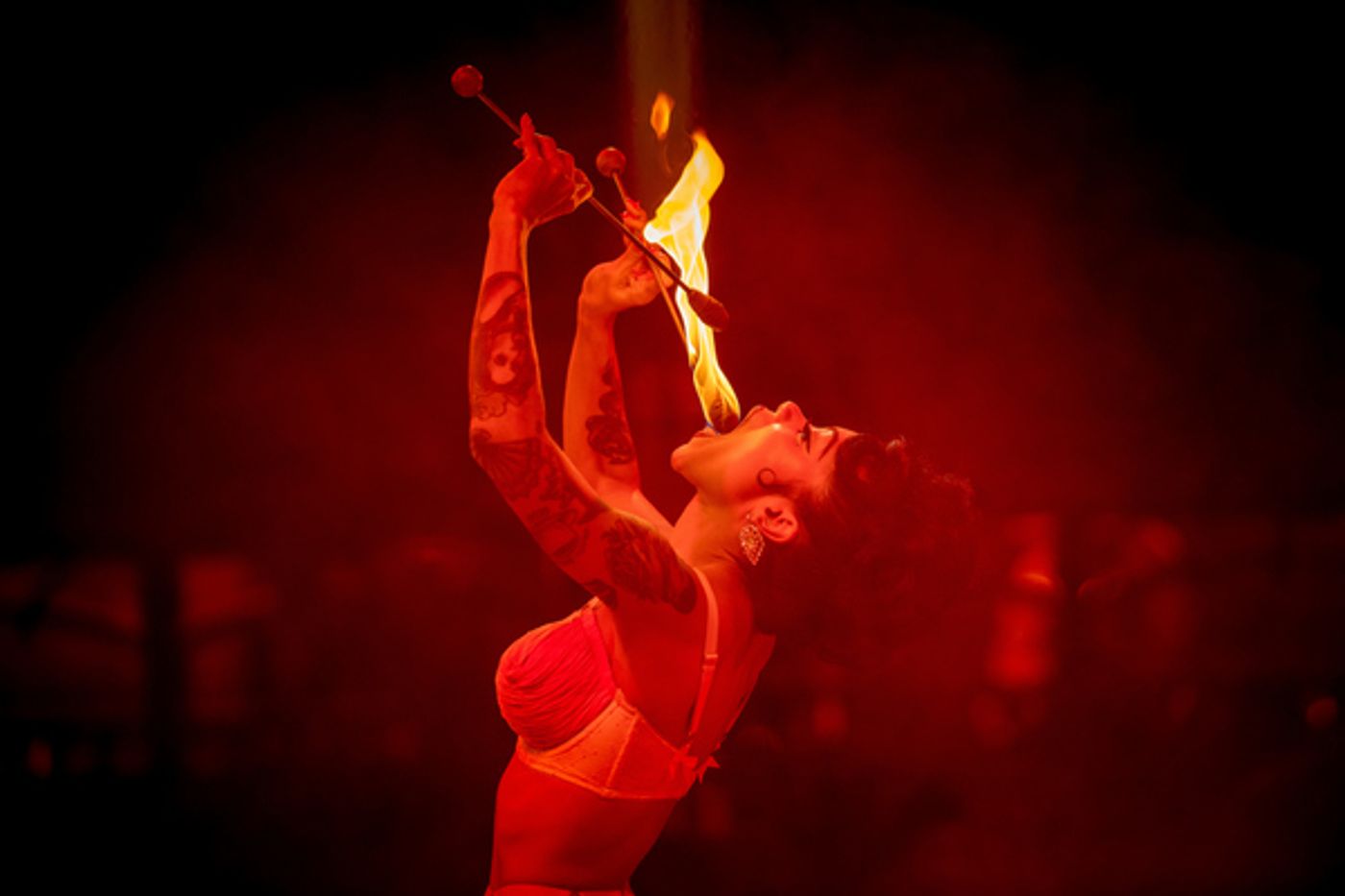 Photo Flash: First Look at LA CLIQUE NOEL – PART DEUX  Image