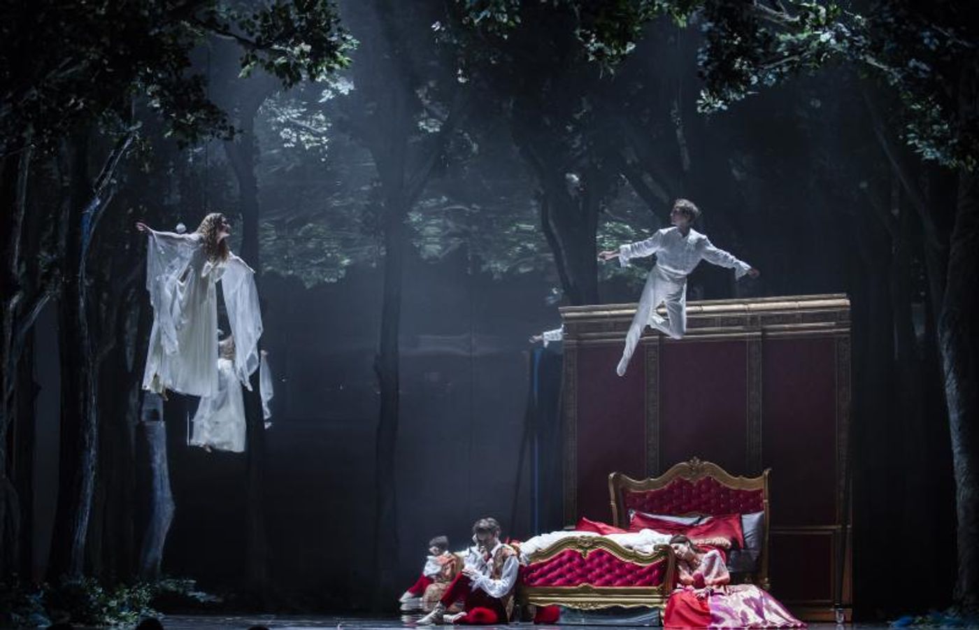 Review: PEAU D'ÂNE at Marigny  Image