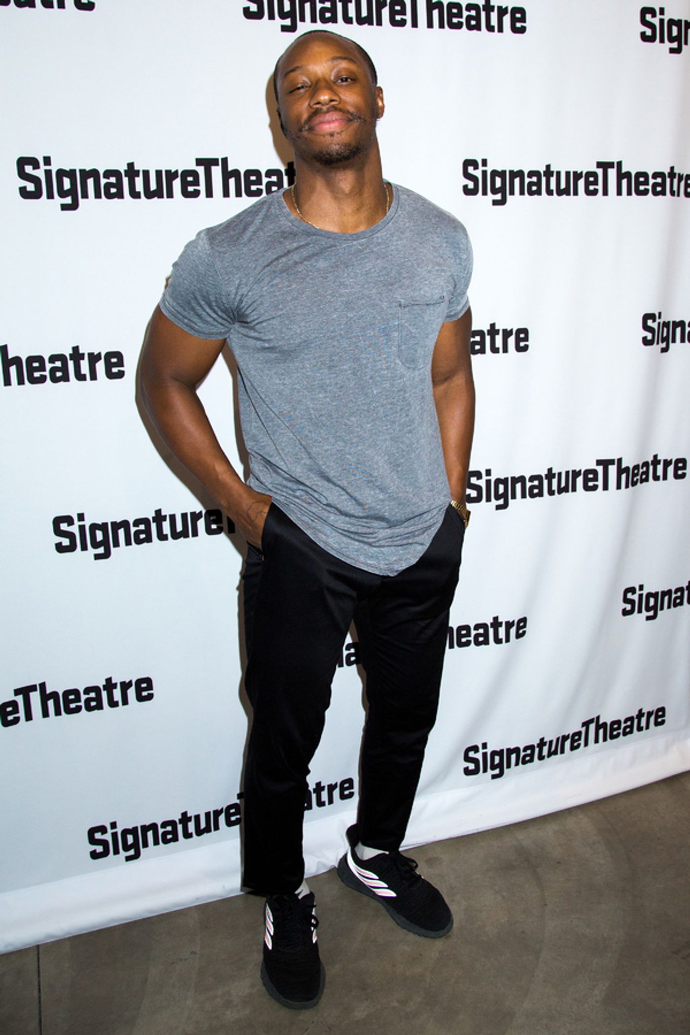 Photo Coverage: Signature Theatre Celebrates Opening Night of FABULATION  Image