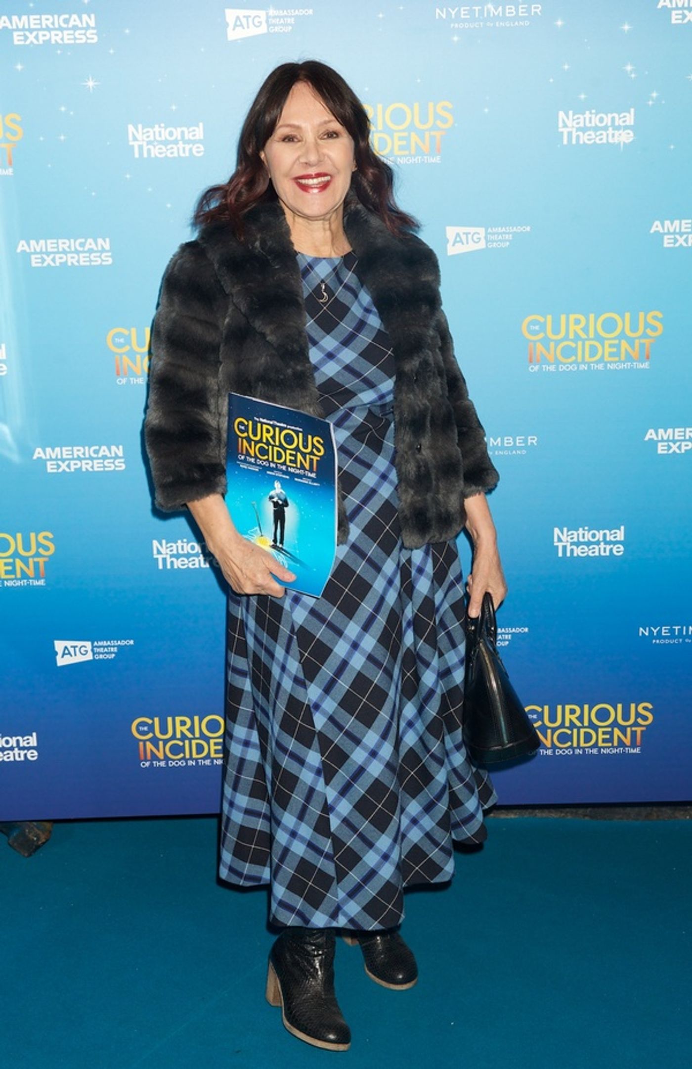 Photo Flash: Red Carpet Arrivals At Opening Night of THE CURIOUS INCIDENT OF THE DOG IN THE NIGHT-TIME  Image
