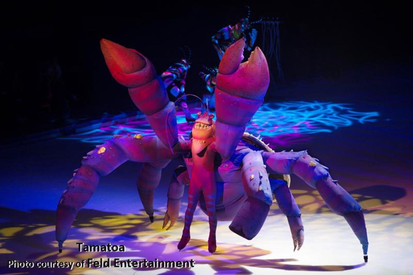 Interview: Phoebe Flynn Accomplishes Satisfaction DARE-ing TO DREAM  Image