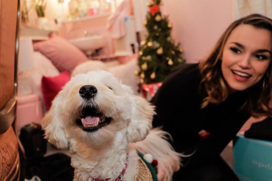 Pets Of Broadway: Meet Samantha Barks' Little Diva, Ivy Barks!  Image