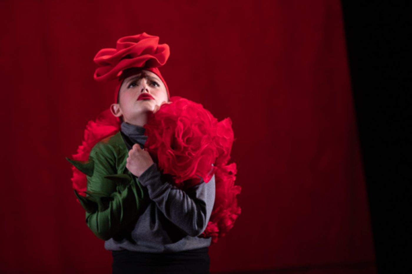 Photo Flash: First Look At Flint Repertory Theatre's THE LITTLE PRINCE  Image