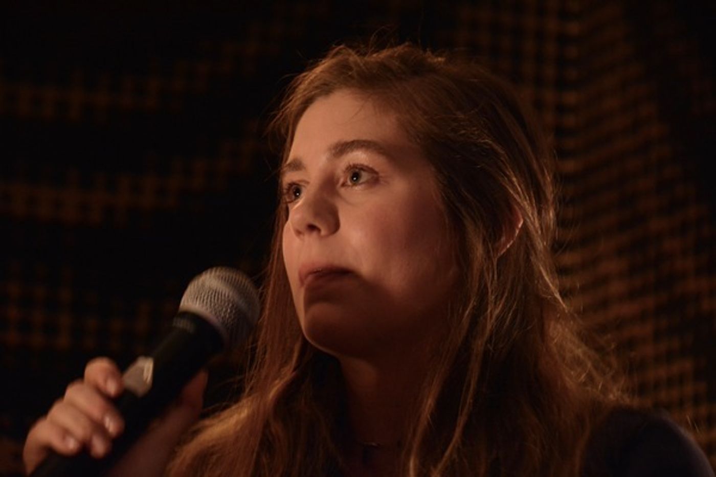 Photo Coverage: Laura Dreyfuss Sits Down with Ilana Levine for Podcast and Performance  Image