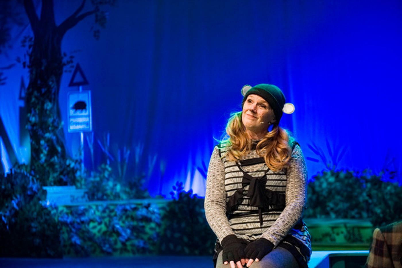 Photo Flash: Stiles & Drewe's THE WIND IN THE WILLOWS Opens in Tunbridge Wells Photo Flash: Stiles & Drewe's THE WIND IN THE WILLOWS Opens in Tunbridge Wells Image
