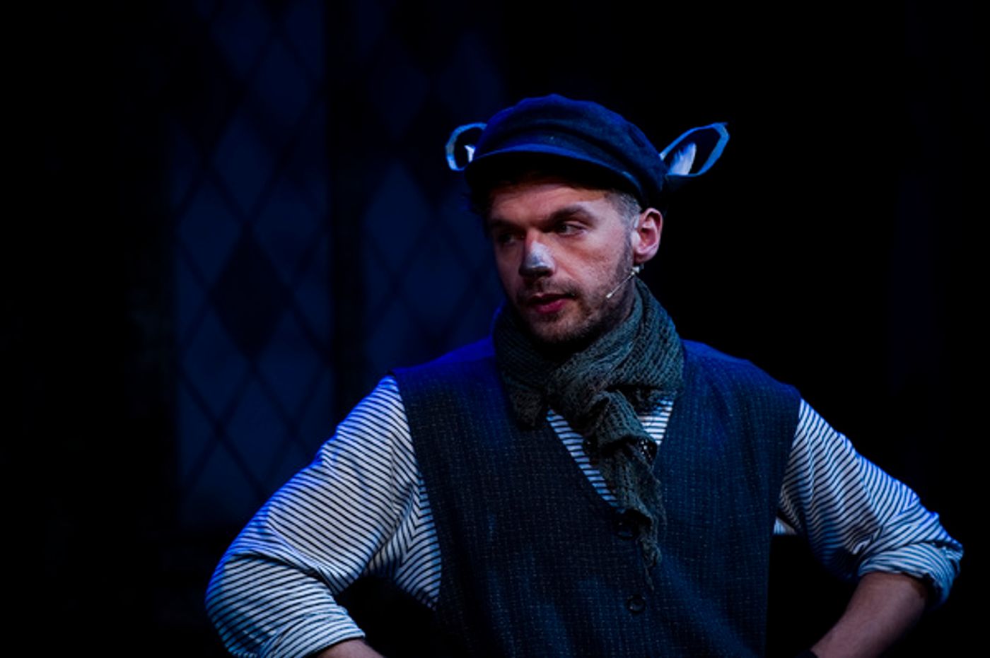 Photo Flash: Stiles & Drewe's THE WIND IN THE WILLOWS Opens in Tunbridge Wells Photo Flash: Stiles & Drewe's THE WIND IN THE WILLOWS Opens in Tunbridge Wells Image