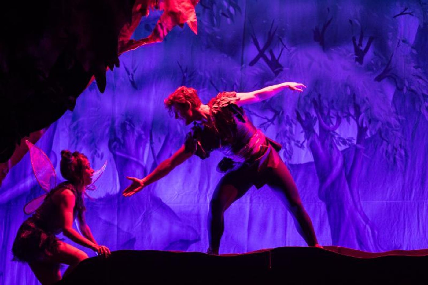 Review: PETER PAN AND TINKER BELL: A PIRATE'S CHRISTMAS Brings Panto Tradition to Music City  Image