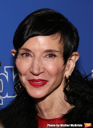 Amy Fine Collins Photo