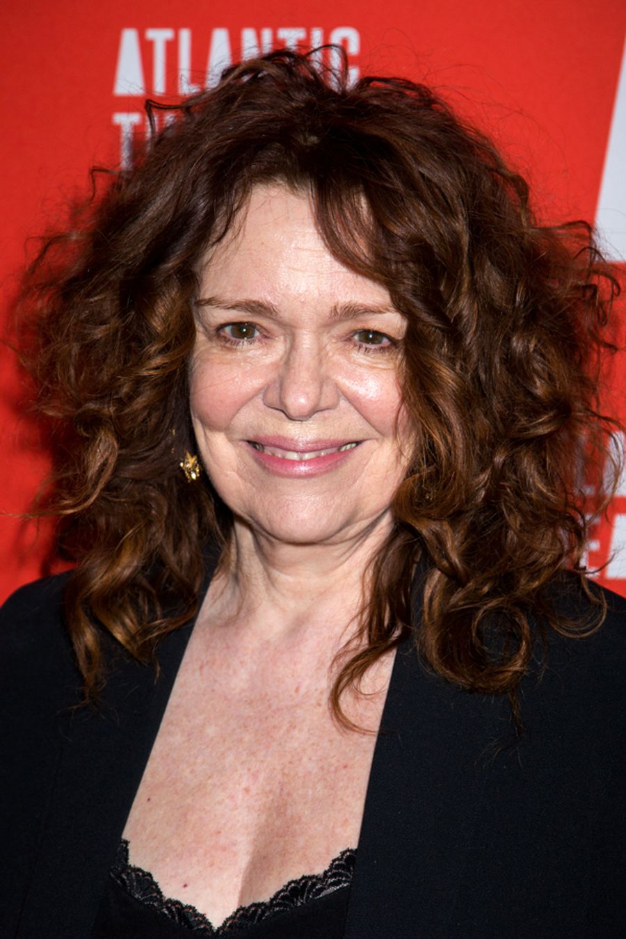 Photo Coverage: Inside Opening Night of Atlantic Theater Company's BLUE RIDGE Image