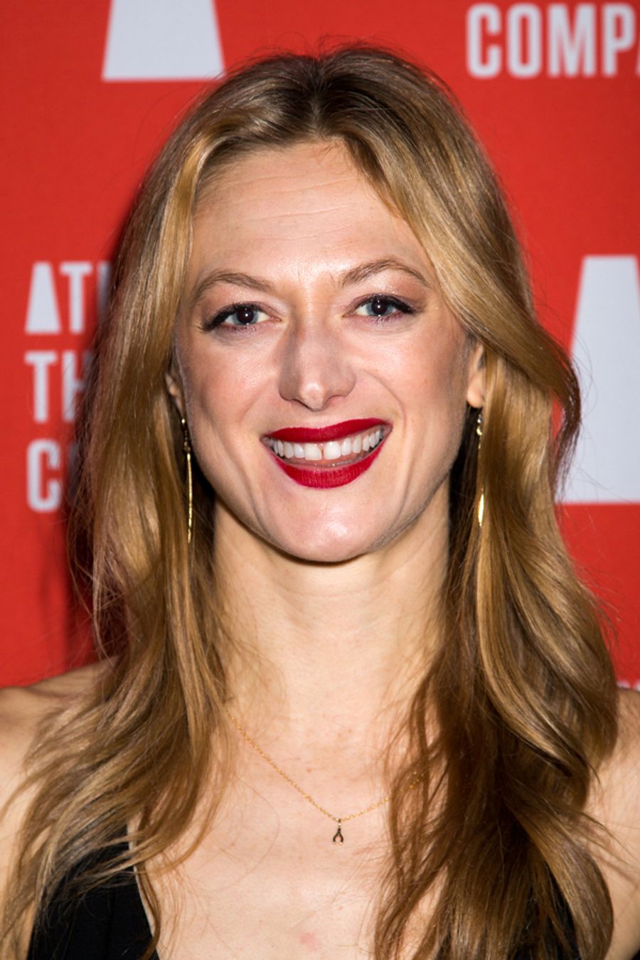 Photo Coverage: Inside Opening Night of Atlantic Theater Company's BLUE RIDGE Image