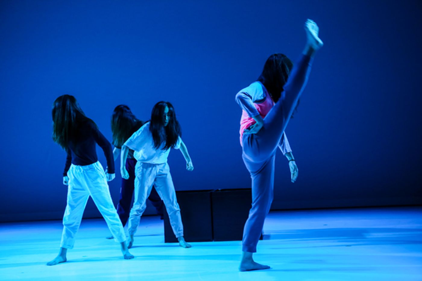 Review: CONTEMPORARY DANCE FESTIVAL: JAPAN + EAST ASIA Sets the Bar & Demonstrates a New Vocabulary Review: CONTEMPORARY DANCE FESTIVAL: JAPAN + EAST ASIA Sets the Bar & Demonstrates a New Vocabulary Image