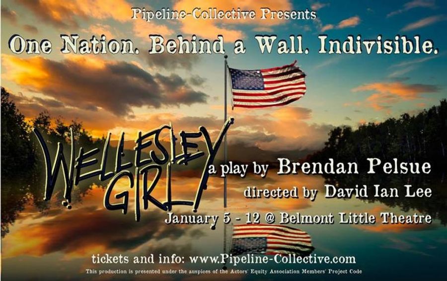 Review: Pipeline Collective's WELLESLEY GIRL Offers a Provocative View of the Future  Image