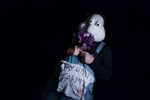 L'Appel Du Vide, featuring Justin Gray, extensively uses basel masks to explore diffe Photo