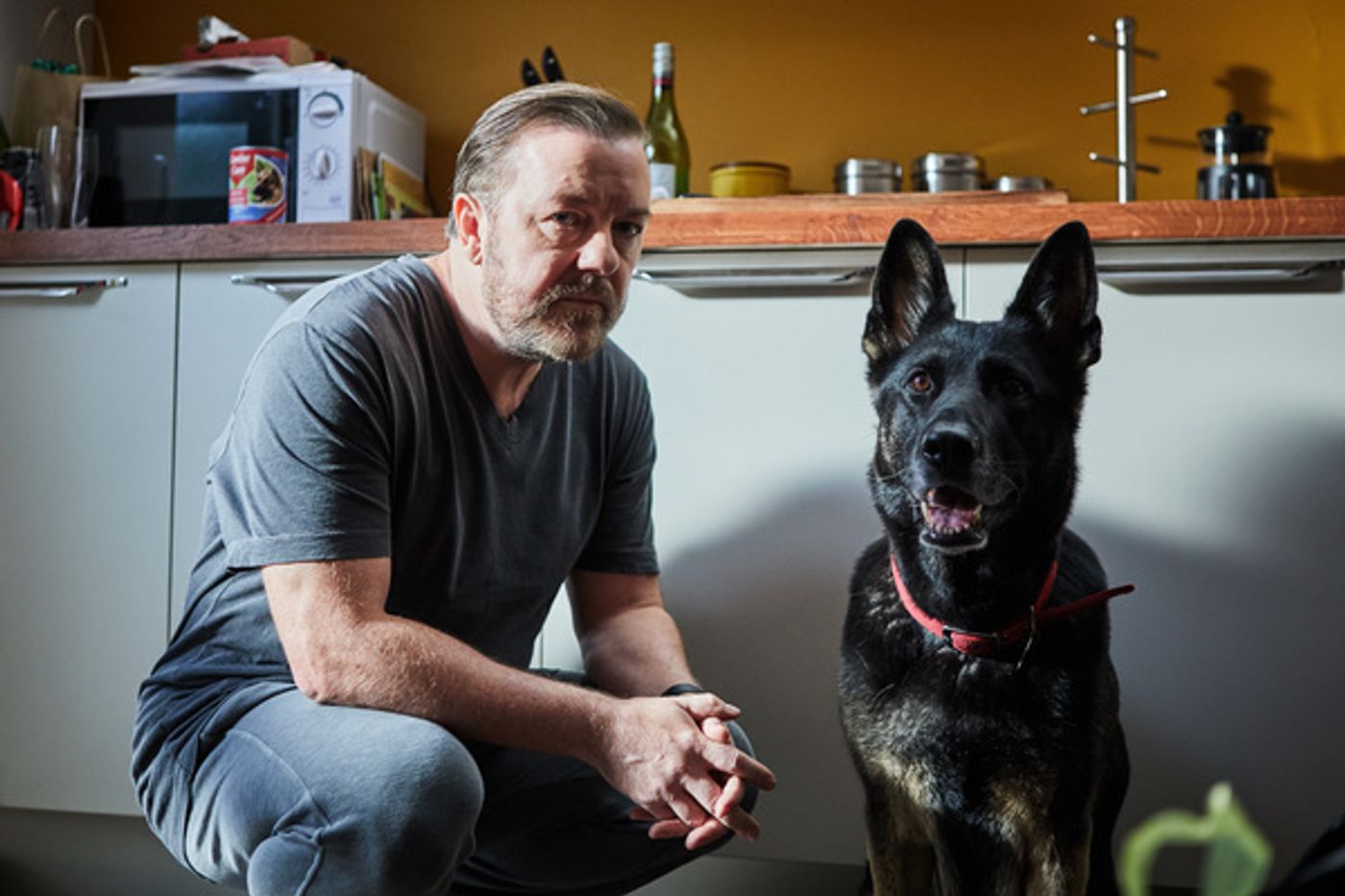 Photo Flash: First Look at the Netflix Original Series AFTER LIFE Starring Ricky Gervais Photo Flash: First Look at the Netflix Original Series AFTER LIFE Starring Ricky Gervais Image