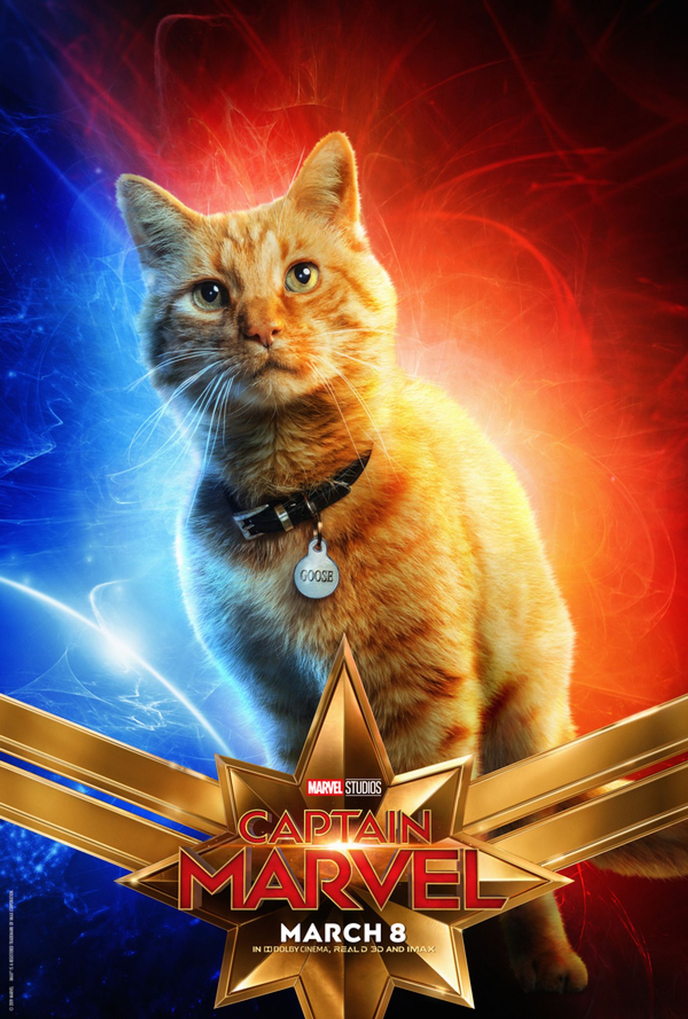 Photo Flash: See the New Character Posters for CAPTAIN MARVEL  Image