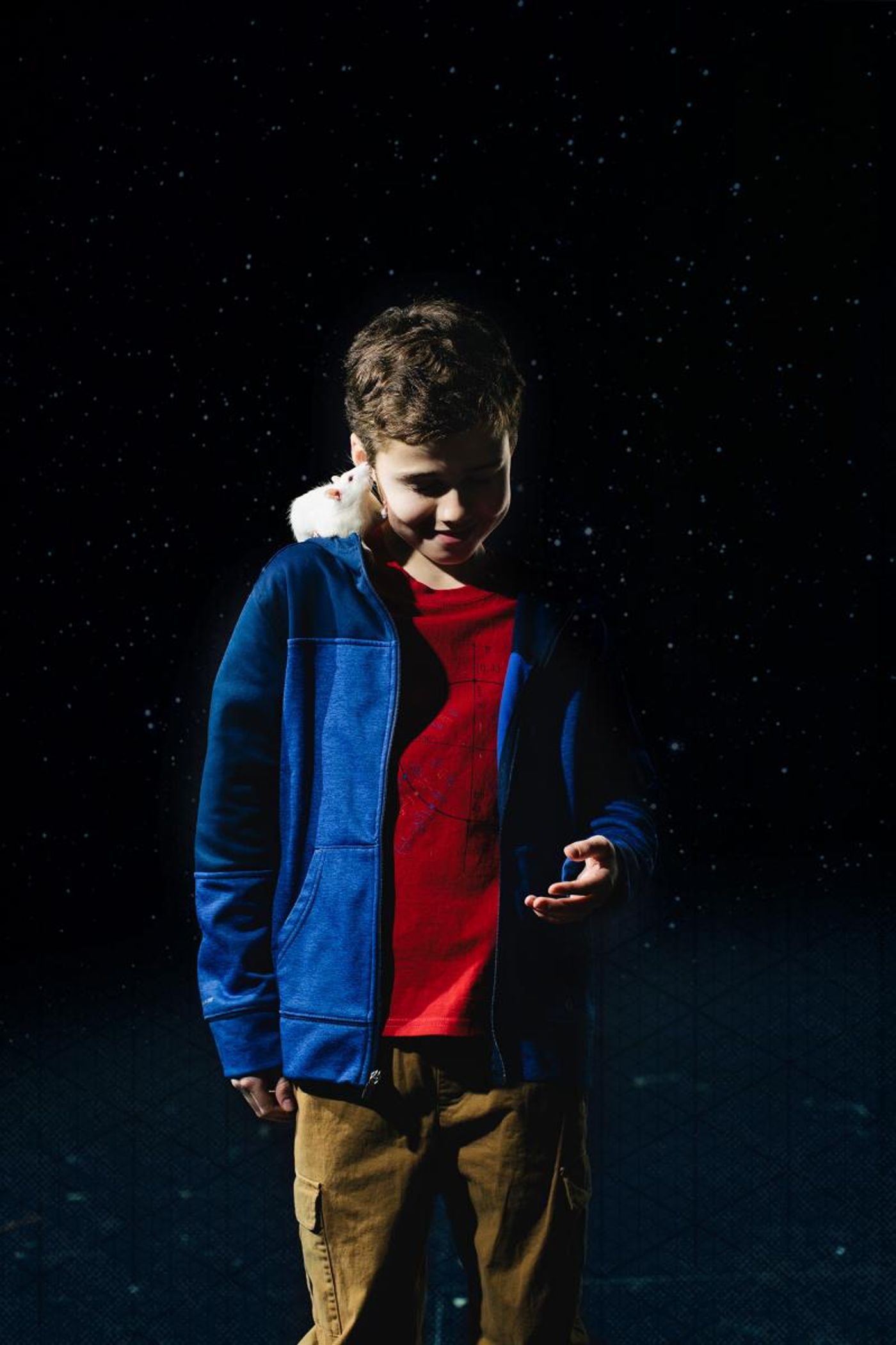 Anticipating THE CURIOUS INCIDENT OF THE DOG IN THE NIGHT-TIME at Omaha Community Playhouse  Image