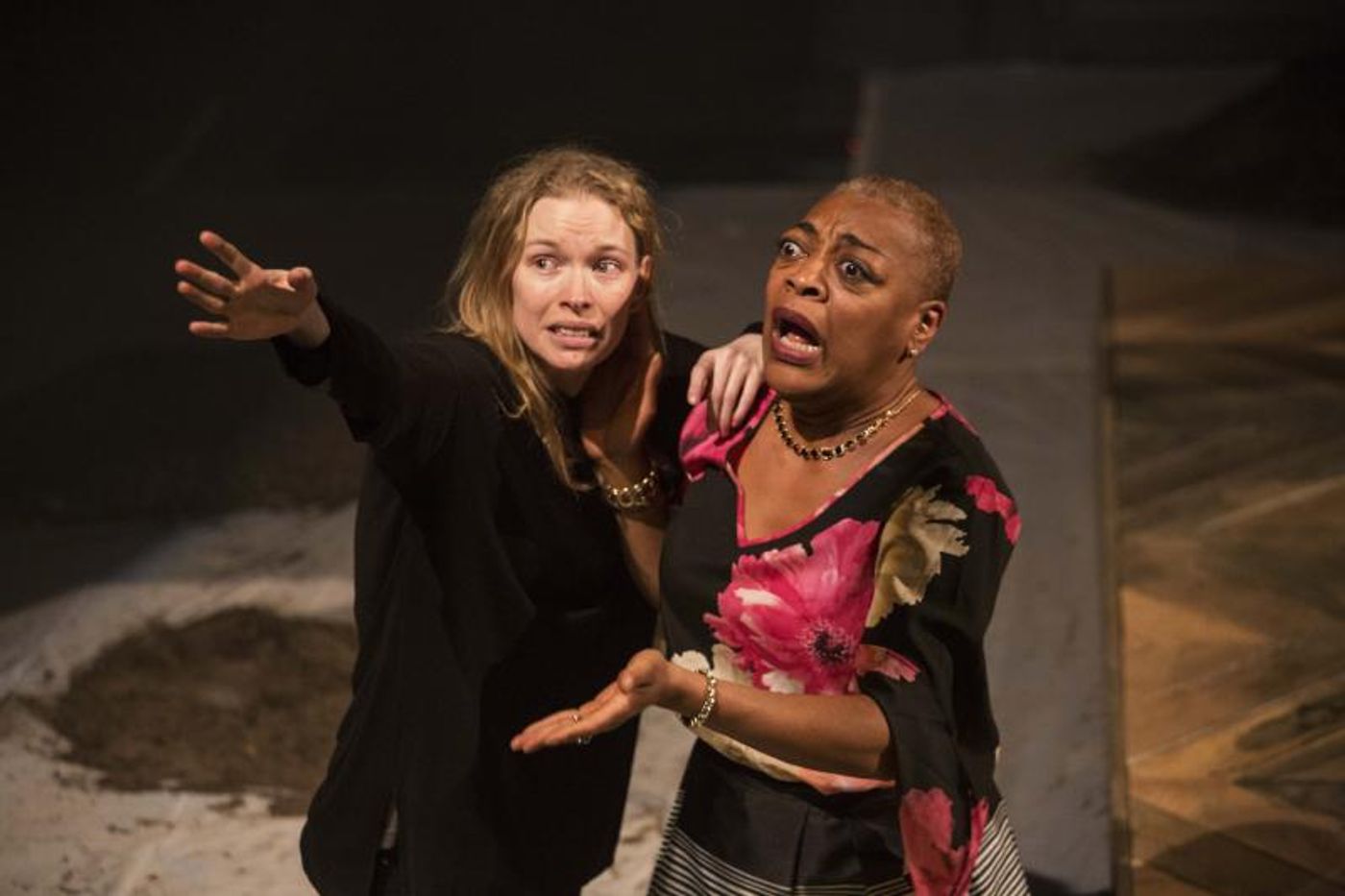 Review: Ravi Jain's PRINCE HAMLET (2017 Review)  Image