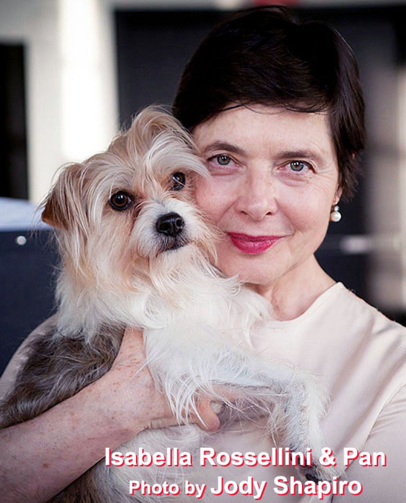 Interview: Isabella Rossellini Exploring LINKs, PORNO & a Masters  Image