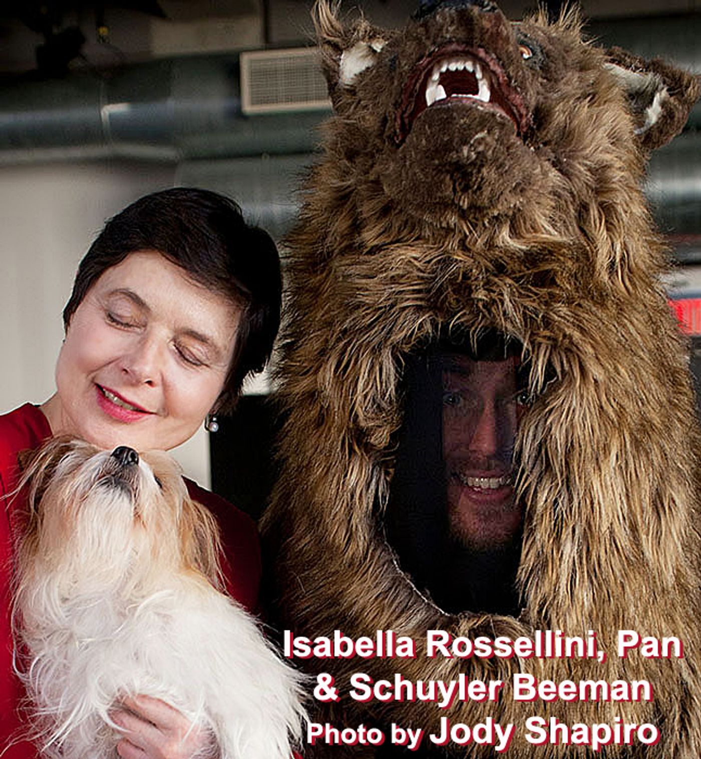 Interview: Isabella Rossellini Exploring LINKs, PORNO & a Masters  Image