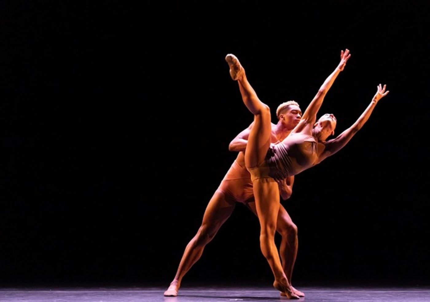 Photo Flash: Inside The Joyce's Benefit for the NYC Dance Alliance Foundation  Image