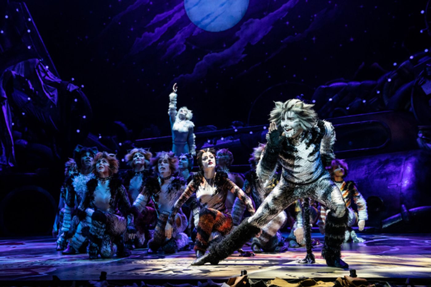 Exclusive Photos: Get A First Look At CATS on Tour!  Image