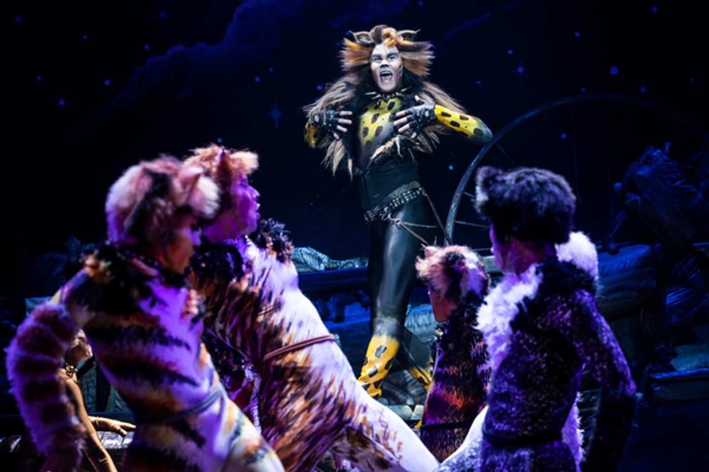 Exclusive Photos: Get A First Look At CATS on Tour! Exclusive Photos: Get A First Look At CATS on Tour! Image