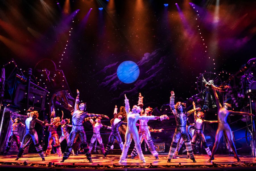 Review Roundup: What Did Critics Think of CATS on Tour? Image