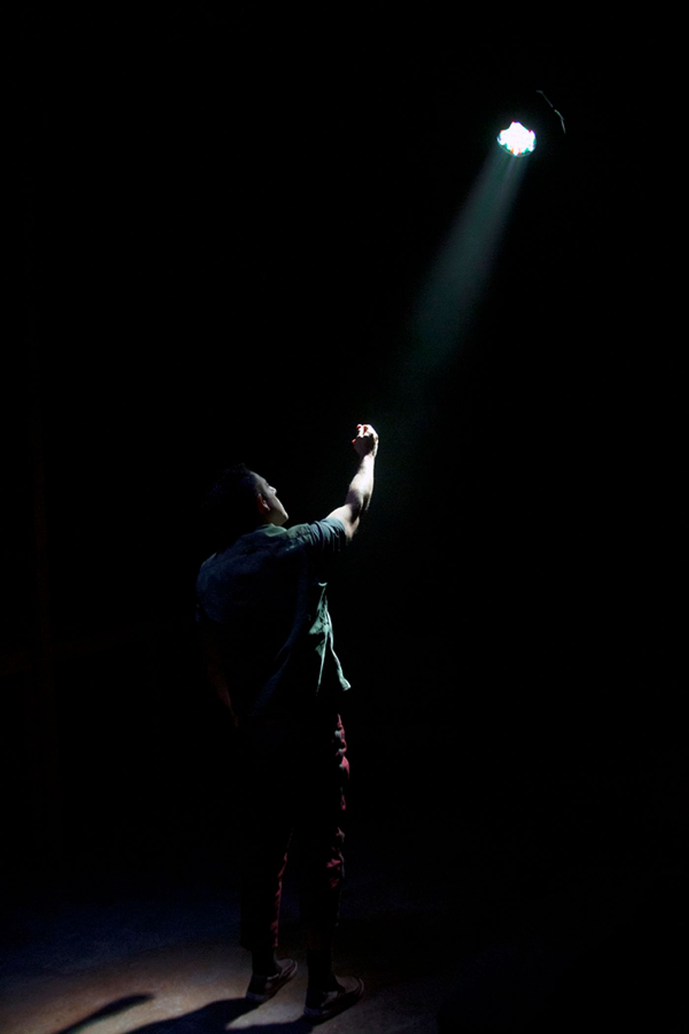 Photo Flash: DirectorFest Wraps Up With FIRST LOVE and DEATHWATCH  Image