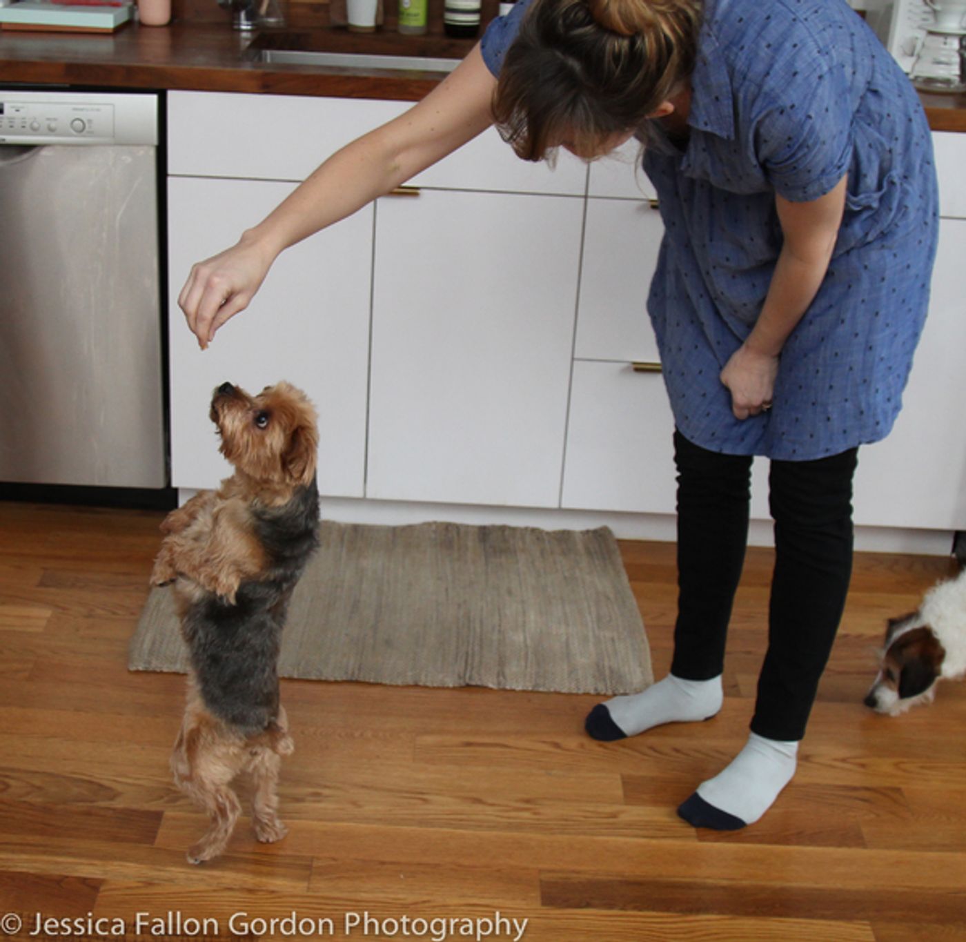 Tails of Broadway: Jill Paice Shows Off Her Playful Pups, Lolly and Penny!  Image
