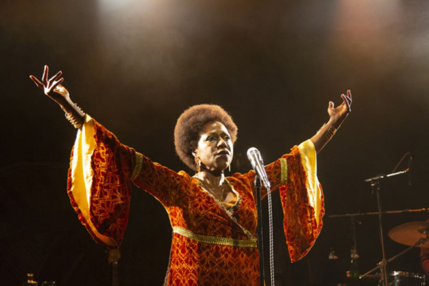 Photo Flash: First Look At LITTLE GIRL BLUE - The Nina Simone Musical  Image