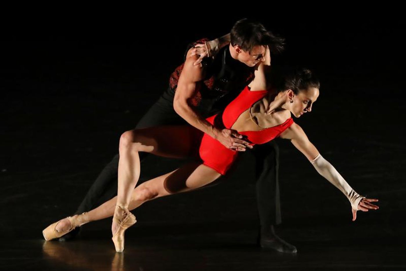 Review: UNC Doctors Do No Harm in Charlotte Ballet's SHAKESPEARE REINVENTED  Image