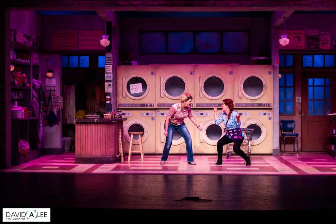 Review: HONKY TONK LAUNDRY at Coyote Stageworks is Good Clean Fun  Image