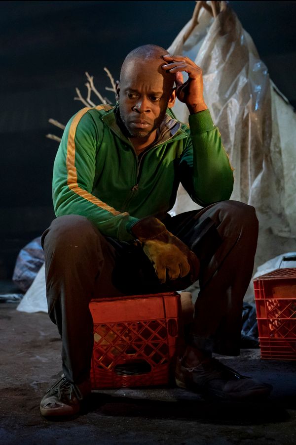 Sahr Ngaujah Photo