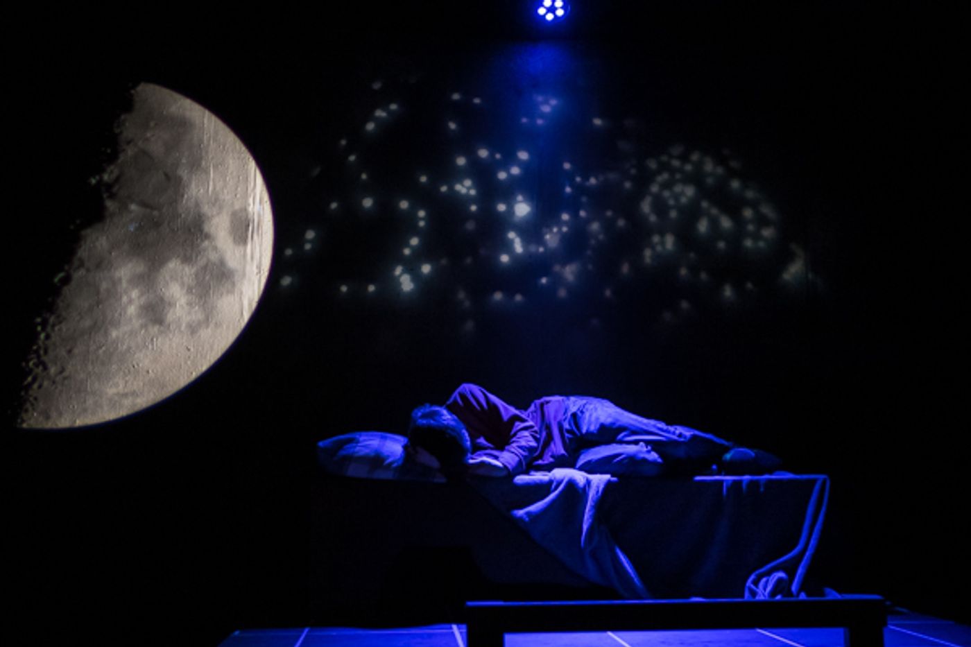 Photo Coverage: First look at Curtain Players' The Curious Incident of the Dog in Night-Time Photo Coverage: First look at Curtain Players' The Curious Incident of the Dog in Night-Time Image