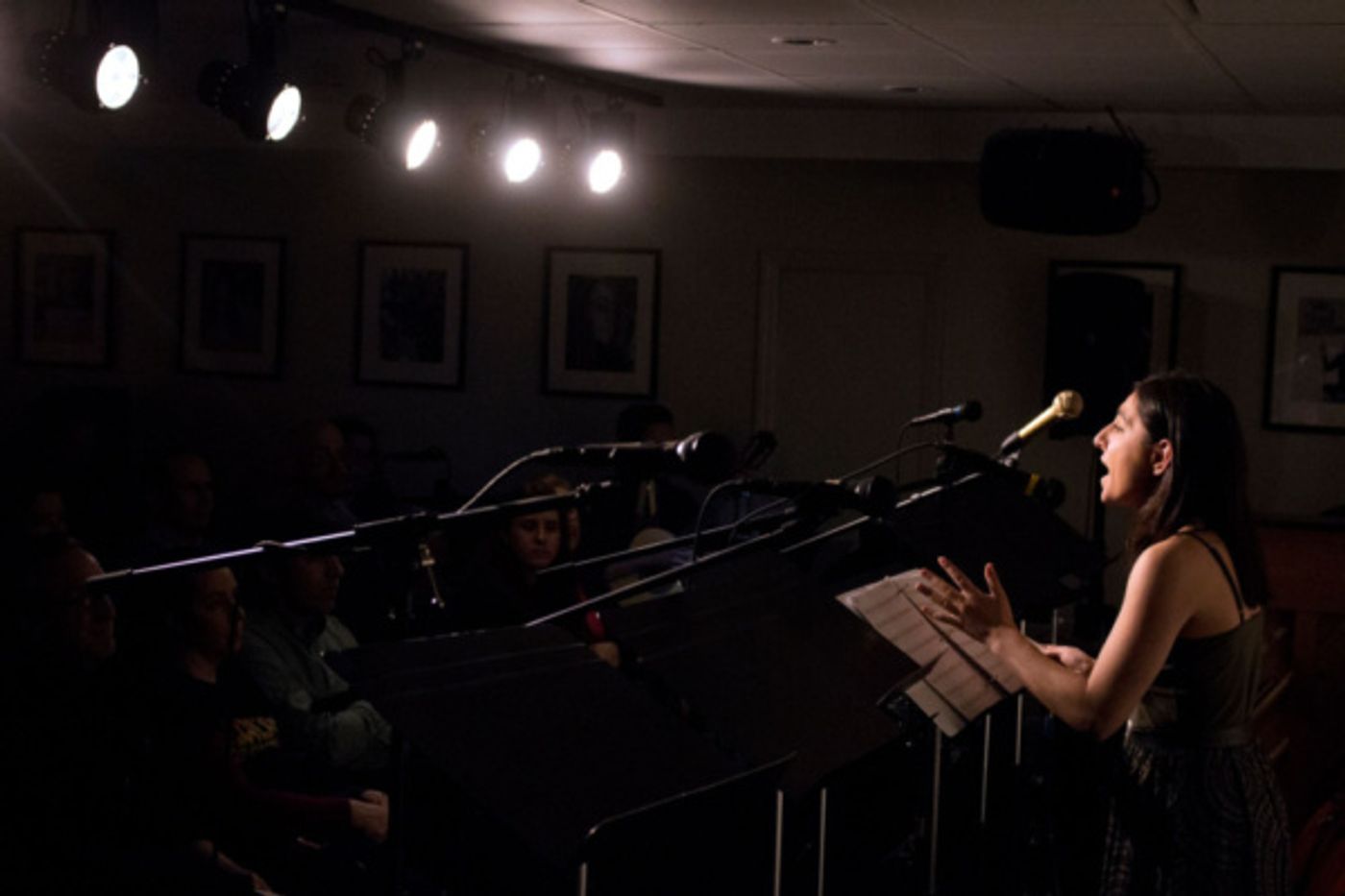 Photo Flash: NYTB's POSTCARD AMERICAN TOWN & RAMONA  Image