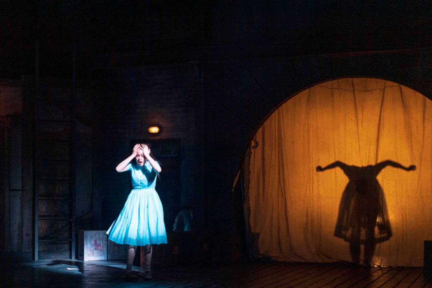 Photo Flash: Head Down the Rabbit Hole with ALICE BY HEART  Image