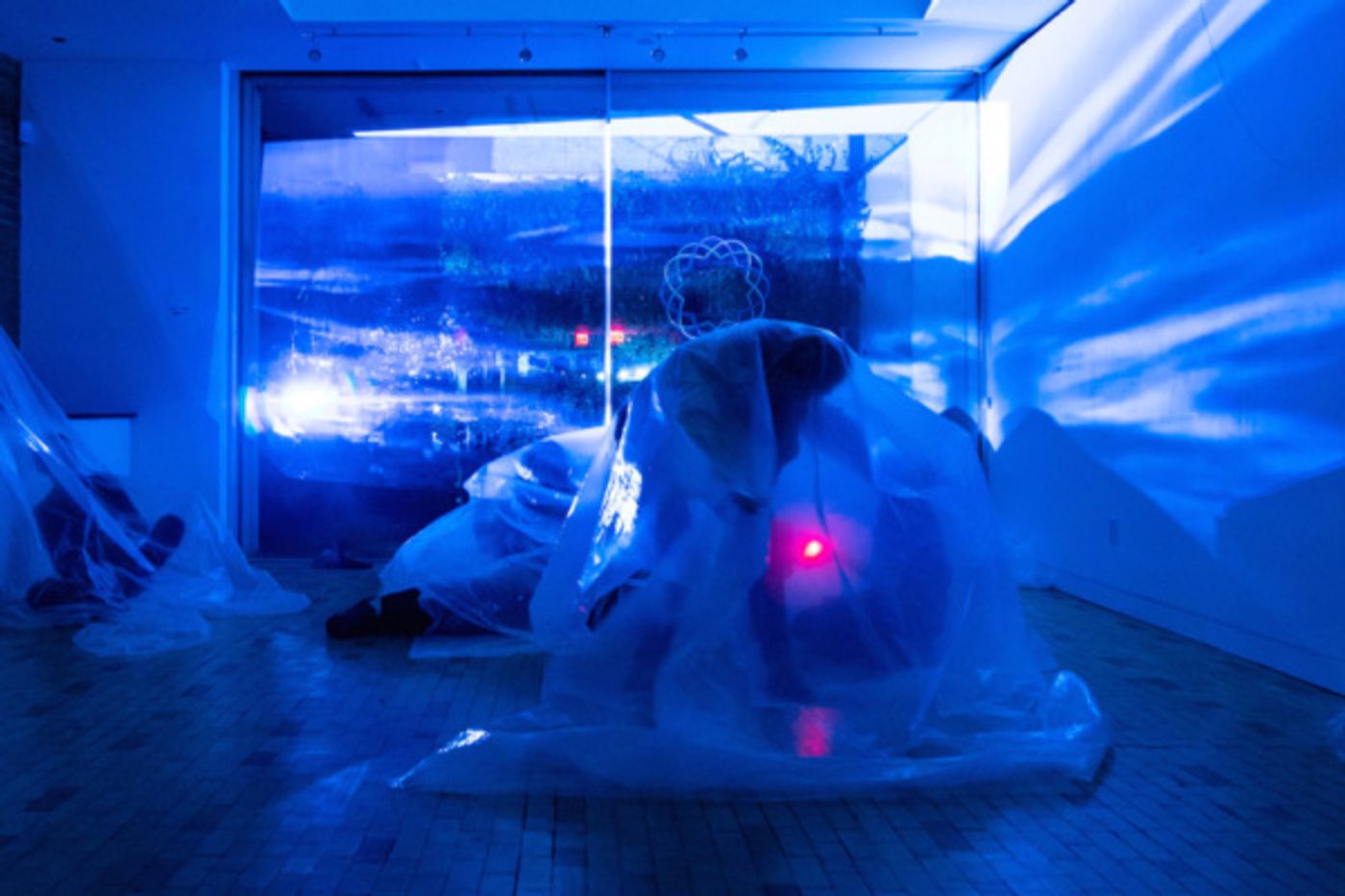 Photo Flash: First Look At MEDUSA VOLUTION  Image