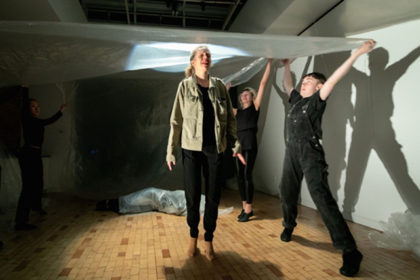 Photo Flash: First Look At MEDUSA VOLUTION  Image