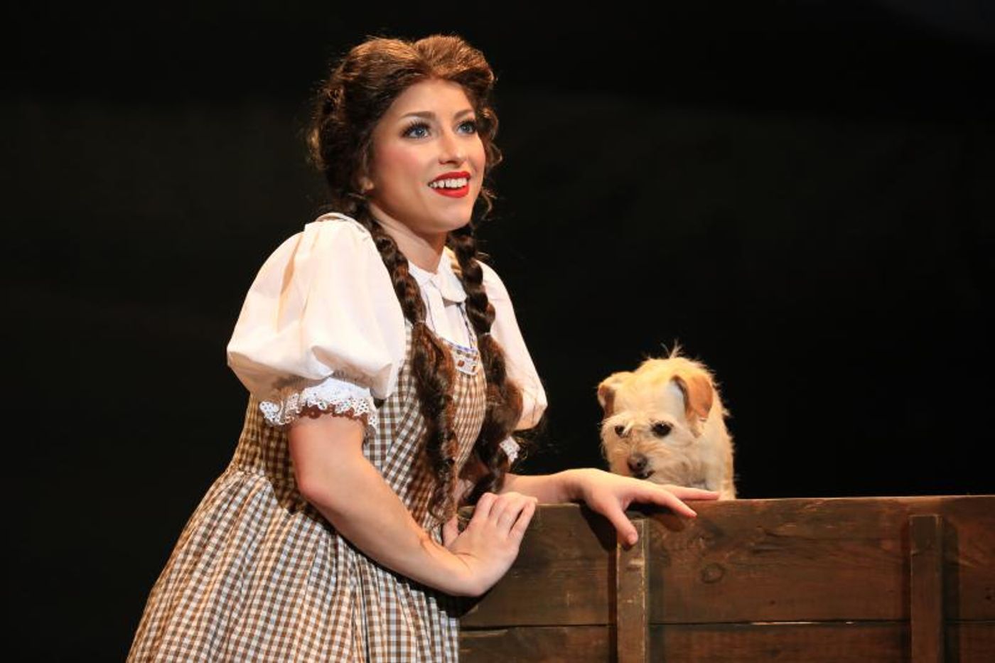 Review: The WIZARD OF OZ at Tennessee Performing Arts Center Dazzles Audiences with Singing! and Dancing! and FUN! OH MY!  Image
