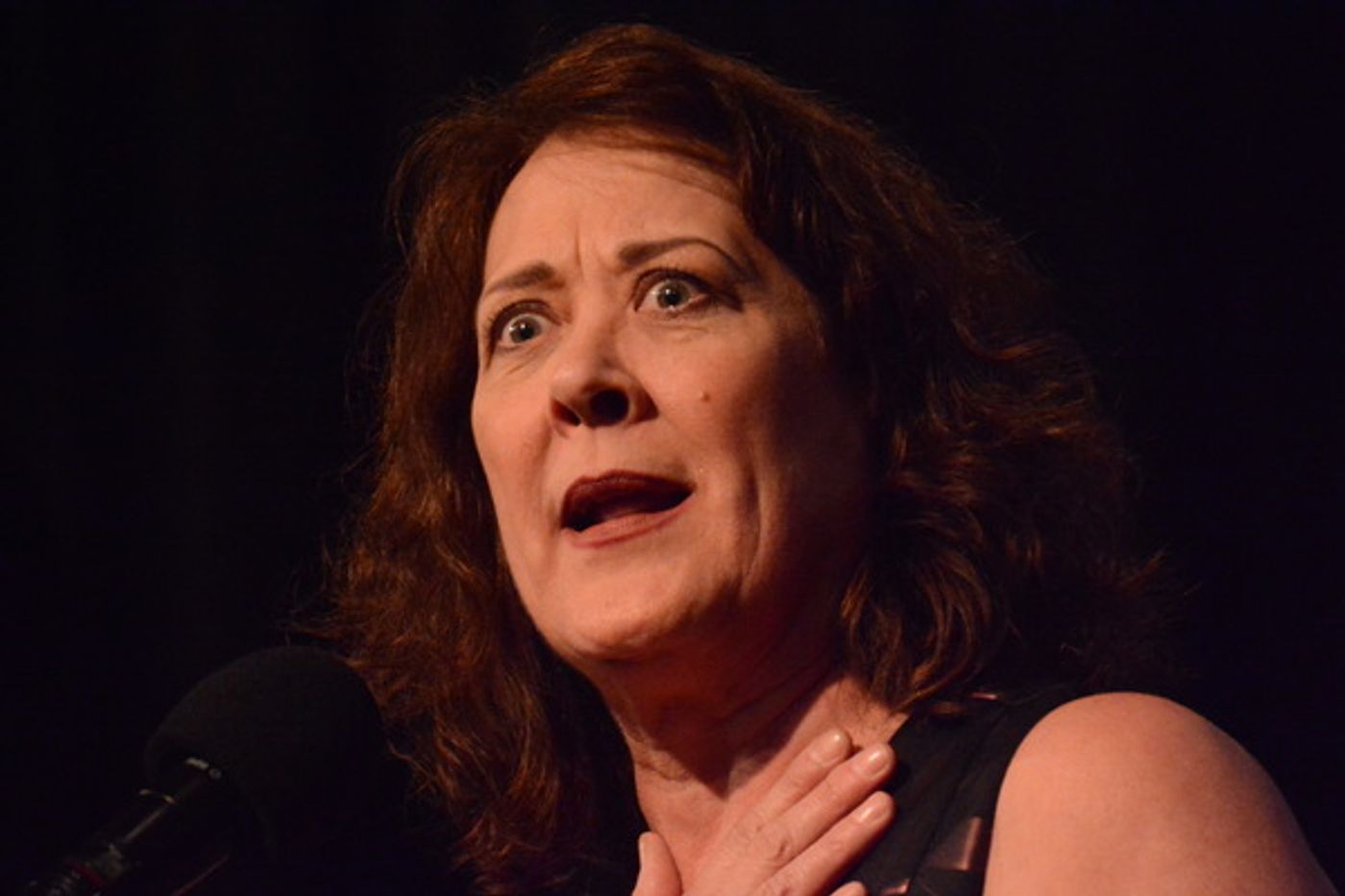 Photo Coverage: Project Shaw Presents SHAW SONGS 2019  Image