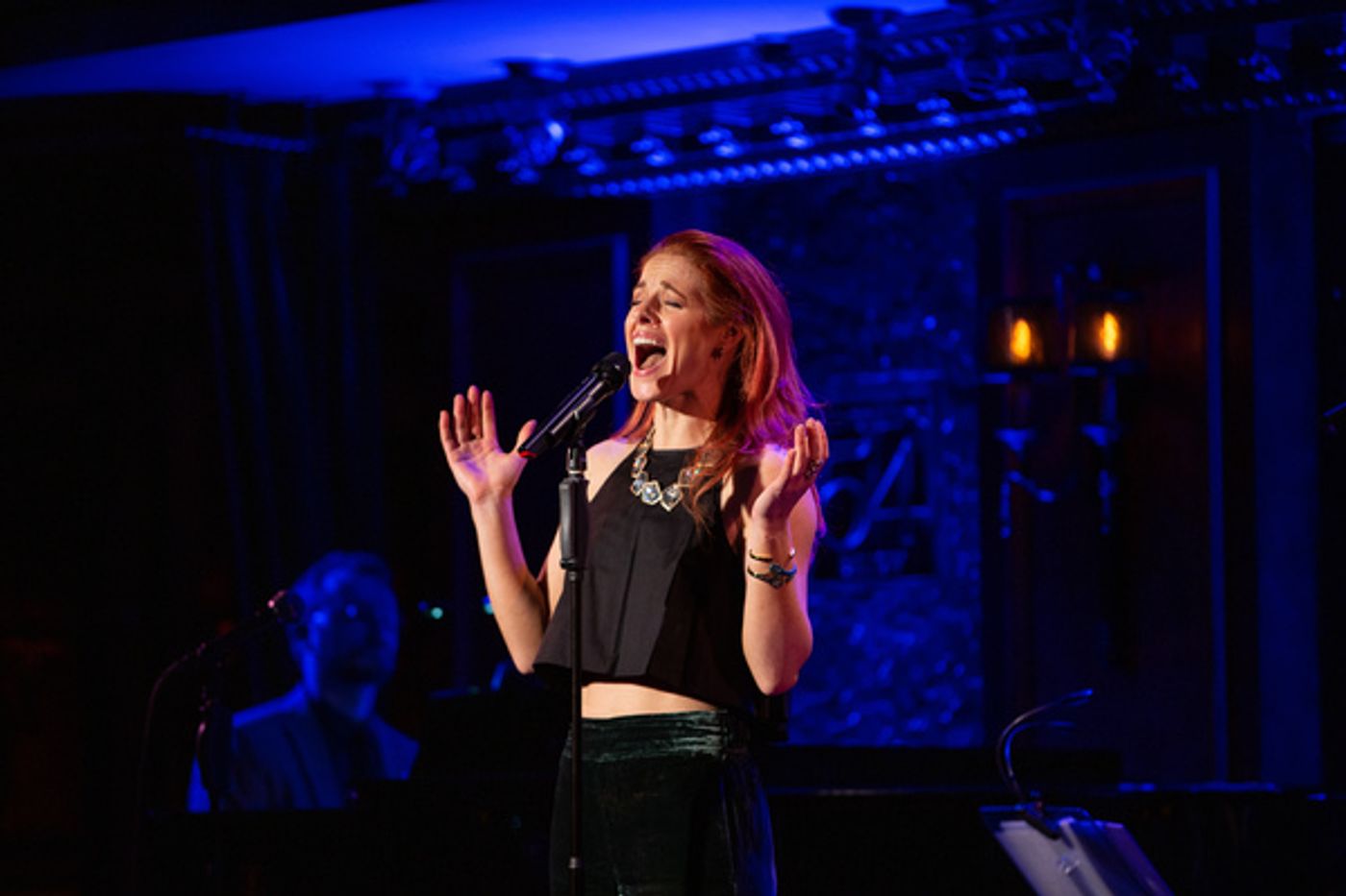 Photo Coverage: Laura Benanti, Michael Park, Teal Wicks, and More Perform to Benefit Immigrant Families at 54 Below  Image