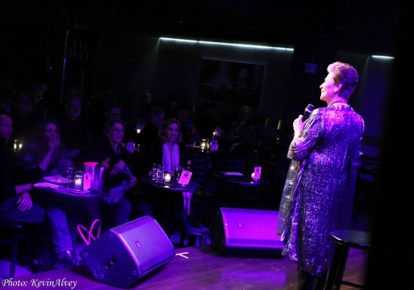 Photo Coverage: Lorna Dallas Brings New Solo Show STAGES to Birdland  Image