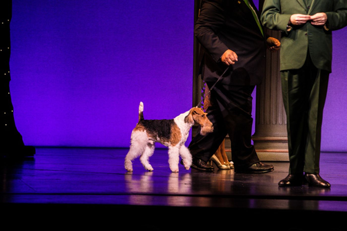 Photo Coverage: Westminster Dog Show Winner Makes Broadway Debut in PRETTY WOMAN  Image