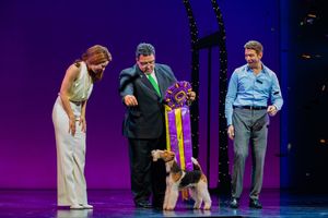 Anna Eilinsfeld, King and his handler, and Andy Karl @ BroadwayWorld Anna Eilinsfeld, King and his handler, and Andy Karl Photo