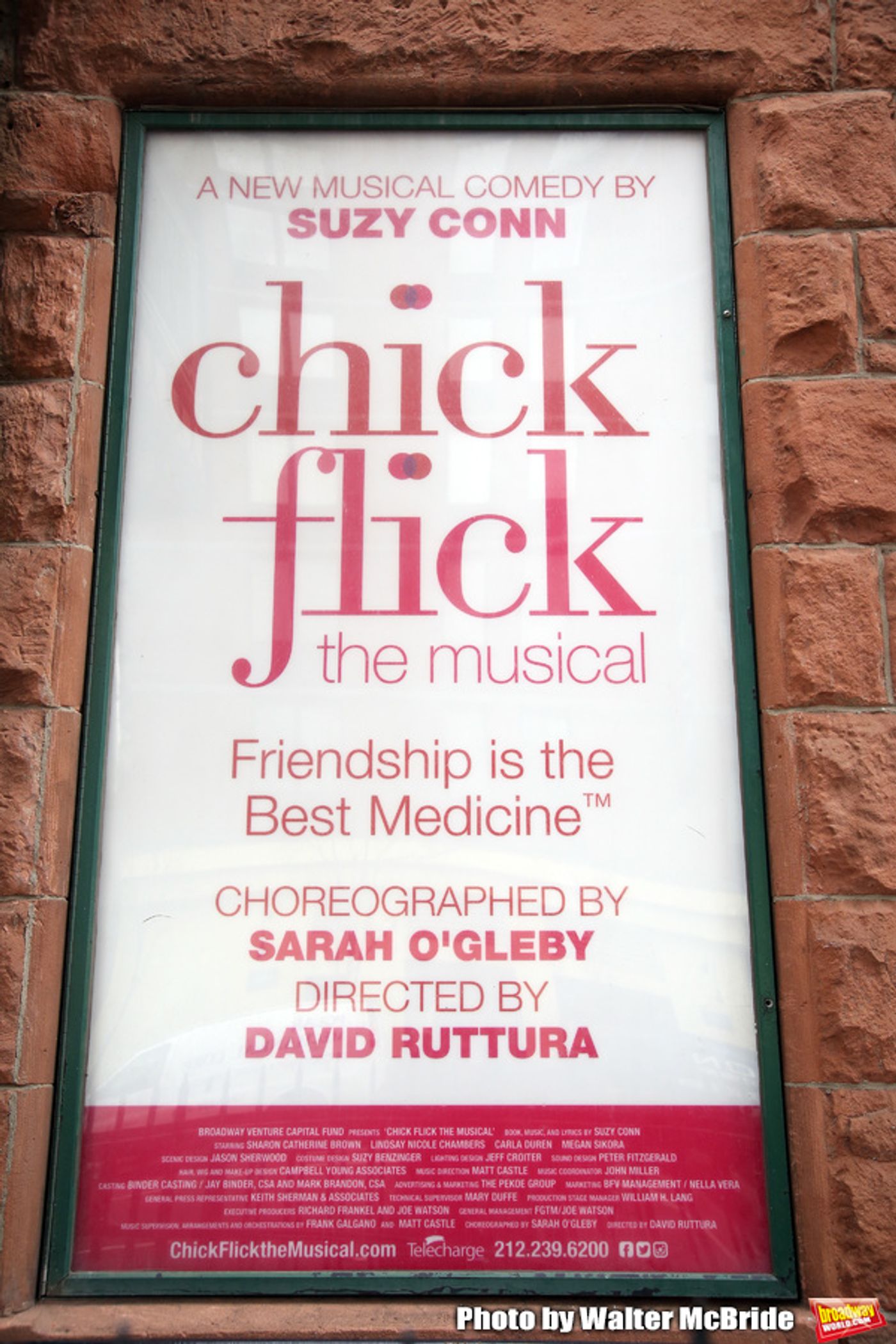 Photo Coverage: Meet the Cast of CHICK FLICK THE MUSICAL  Image